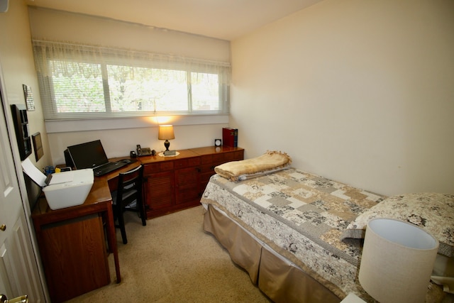 bedroom with light carpet