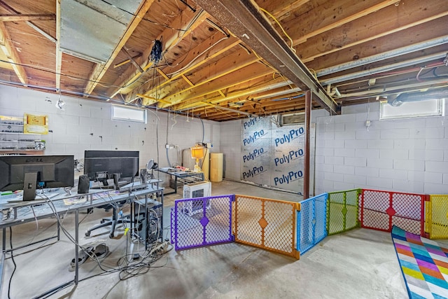 basement with concrete block wall