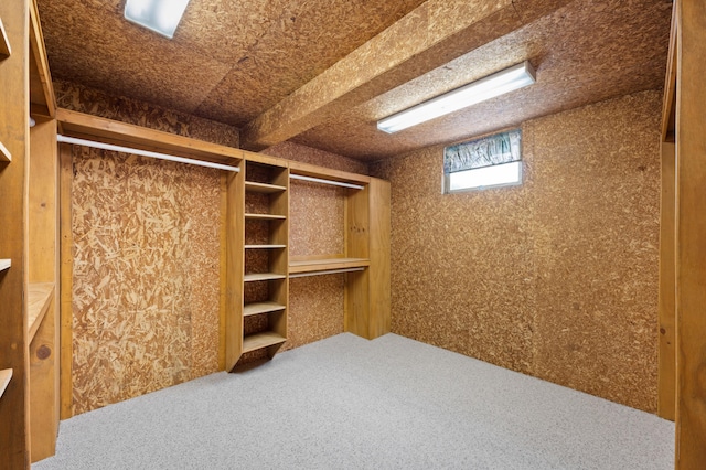 spacious closet with carpet floors