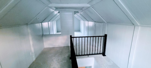 additional living space featuring carpet floors and vaulted ceiling