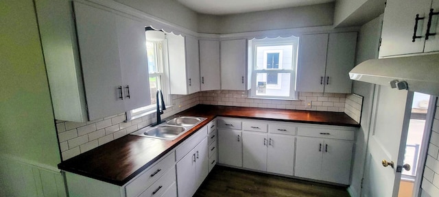 kitchen with a sink, backsplash, dark wood-style flooring, and white cabinetry