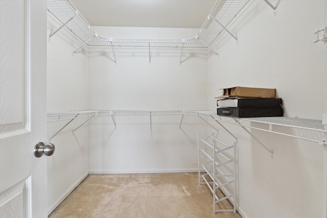 walk in closet featuring light carpet