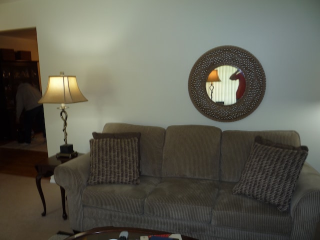 living room with carpet floors