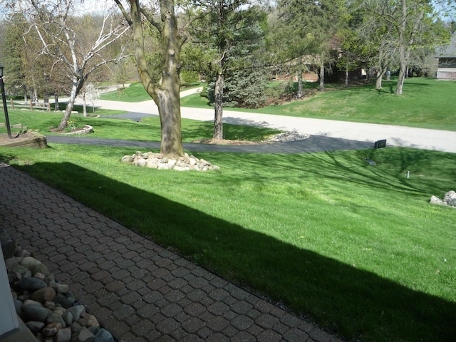 view of community featuring a lawn