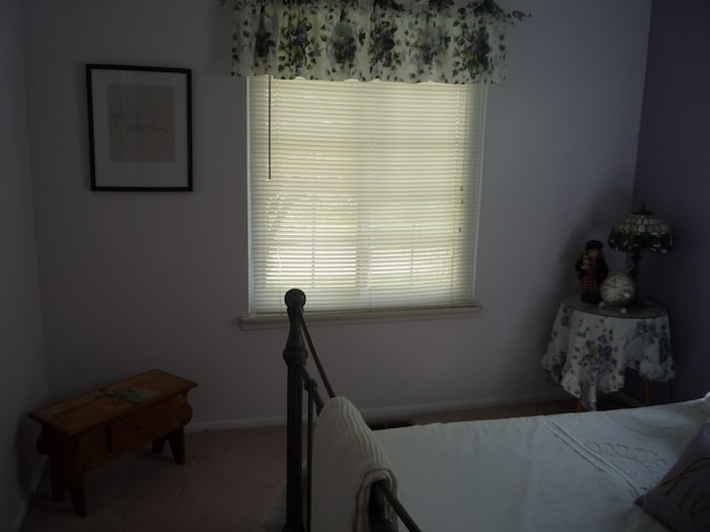 carpeted bedroom featuring baseboards and multiple windows