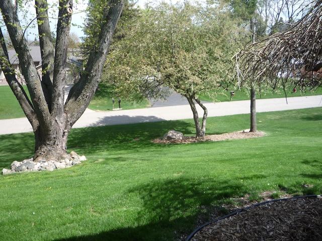 view of home's community featuring a lawn