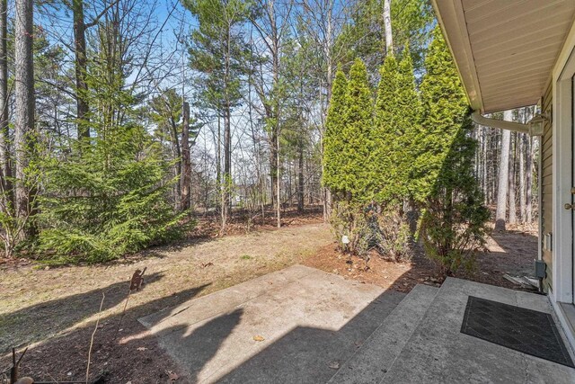 view of yard with a patio area