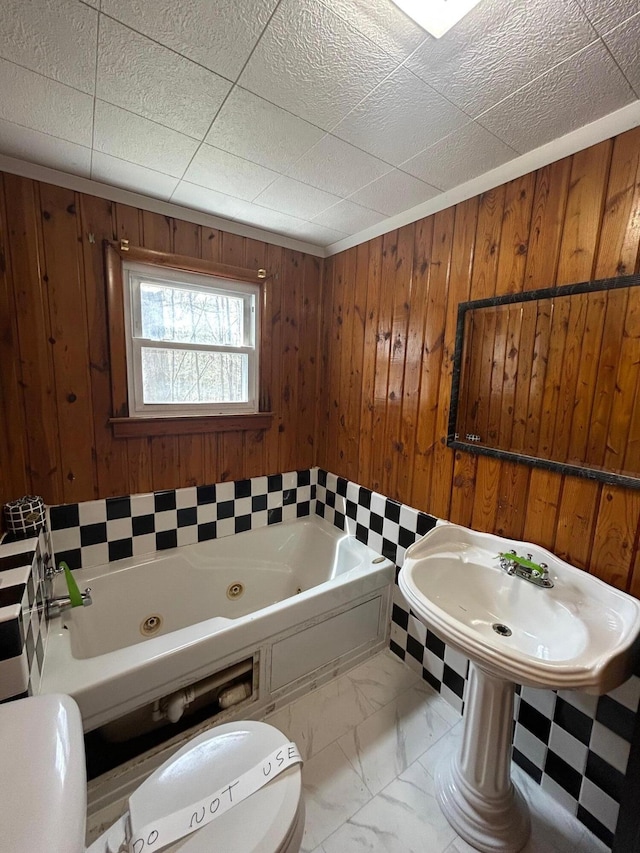 757 E Sidney Rd, Stanton, MI 48888 - full bathroom with a whirlpool tub, toilet, and wood walls