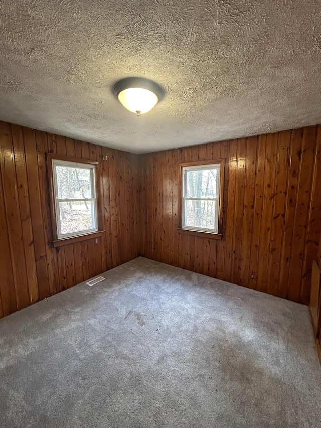 757 E Sidney Rd, Stanton, MI 48888 - unfurnished room featuring carpet flooring, visible vents, and a healthy amount of sunlight