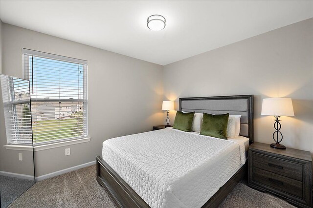 bedroom with baseboards and carpet
