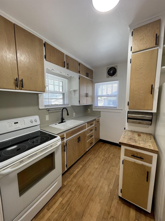 kitchen featuring light wood-style floors, electric stove, a sink, and a healthy amount of sunlight