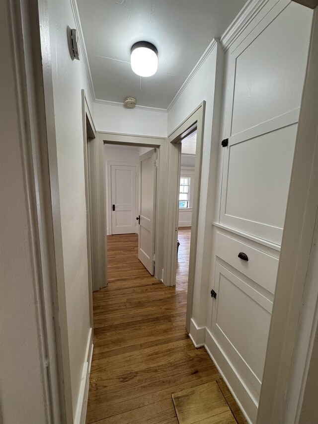 2314 Begole St, Flint, MI 48504 - corridor featuring ornamental molding, baseboards, and dark wood-style floors