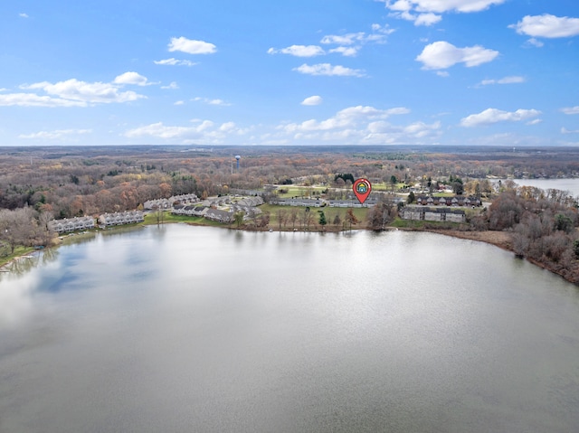 bird's eye view with a water view and a wooded view