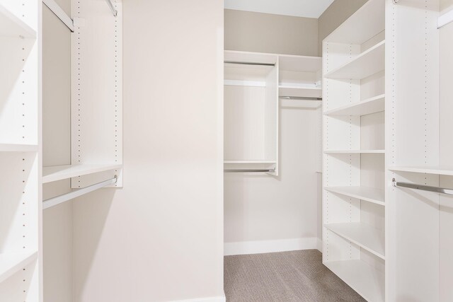 1493 Eagle Shore Ct Unit 37, Hudsonville, MI 49426 - walk in closet with carpet