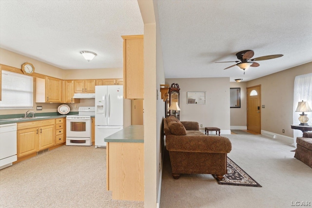 kitchen with white appliances, light brown cabinetry, under cabinet range hood, and open floor plan