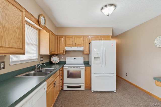kitchen with carpet flooring, dark countertops, a sink, white appliances, and under cabinet range hood