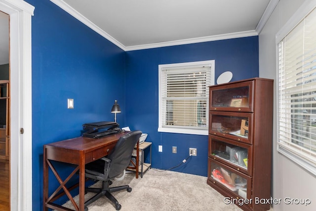 office featuring crown molding, carpet, and plenty of natural light