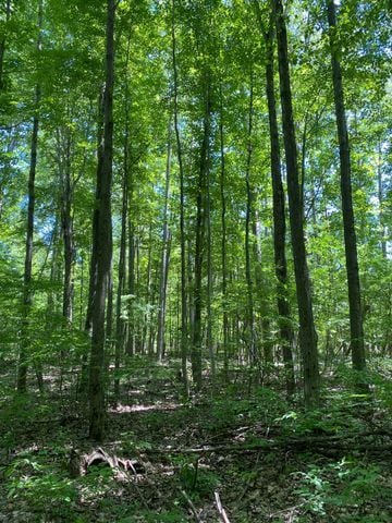 V/L Underwood Rd, Caro, MI 48723