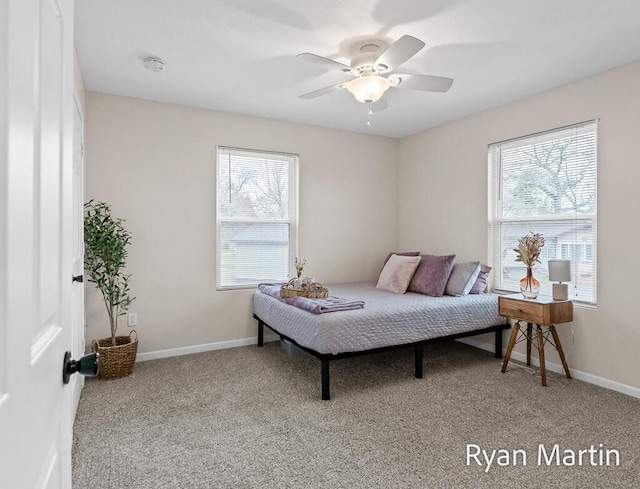 bedroom featuring carpet flooring, baseboards, and multiple windows