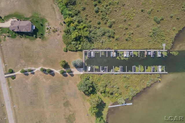 drone / aerial view
