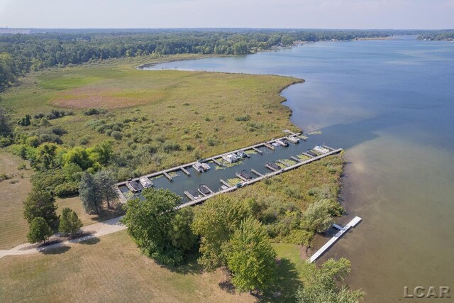 114 Bloomfield Blvd, Brooklyn, MI 49230 - photo 42