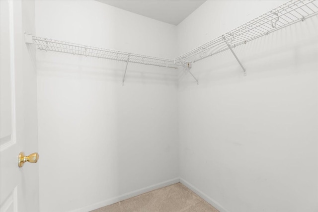 walk in closet featuring light colored carpet