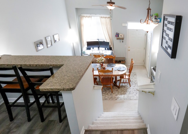dining space featuring a ceiling fan and wood finished floors