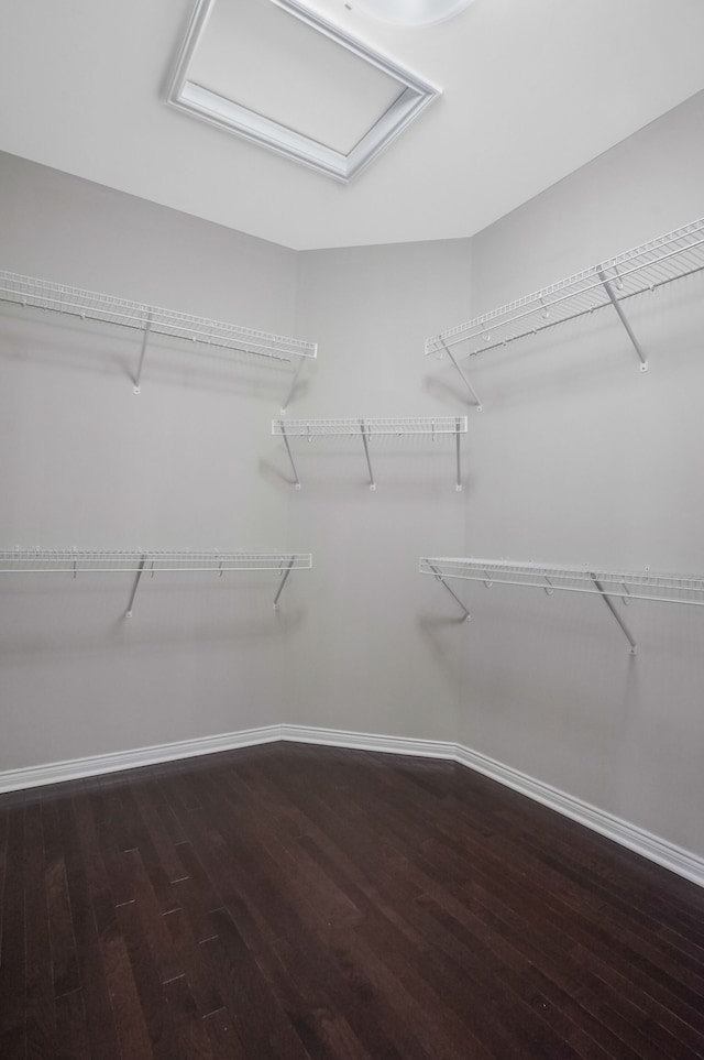 walk in closet featuring wood finished floors