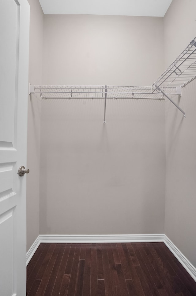 walk in closet featuring wood finished floors