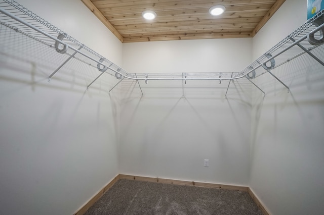 spacious closet with carpet flooring