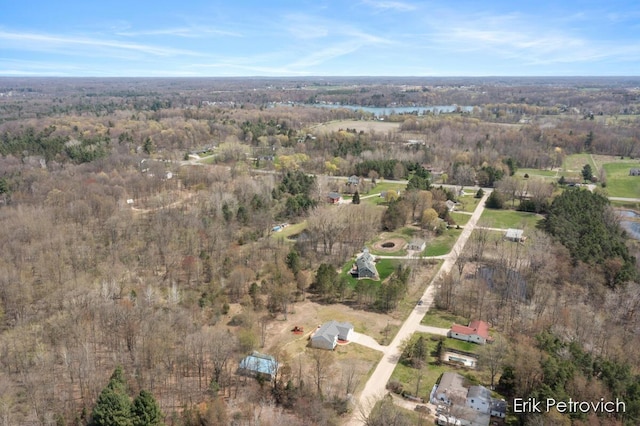 581 Cumings Ct NW, Sparta, MI 49345 - drone / aerial view with a view of trees