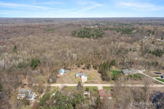 581 Cumings Ct NW, Sparta, MI 49345 - birds eye view of property featuring a view of trees