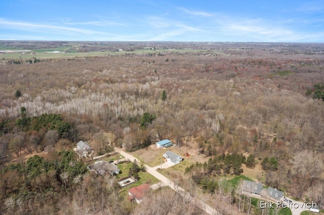 581 Cumings Ct NW, Sparta, MI 49345 - birds eye view of property with a view of trees