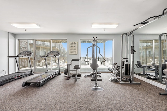 37510 Jefferson Ave Unit 203, Harrison Township, MI 48045 - view of workout area