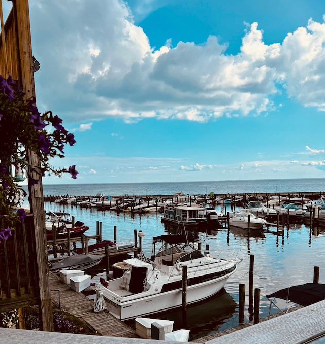 37510 Jefferson Ave Unit 203, Harrison Township, MI 48045 - dock with a water view