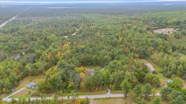 4335 Kings Corner Rd, Glennie, MI 48737 - bird's eye view with a view of trees