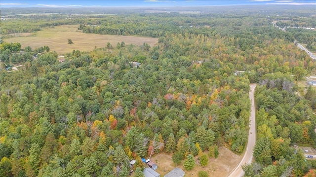 4335 Kings Corner Rd, Glennie, MI 48737 - birds eye view of property featuring a wooded view