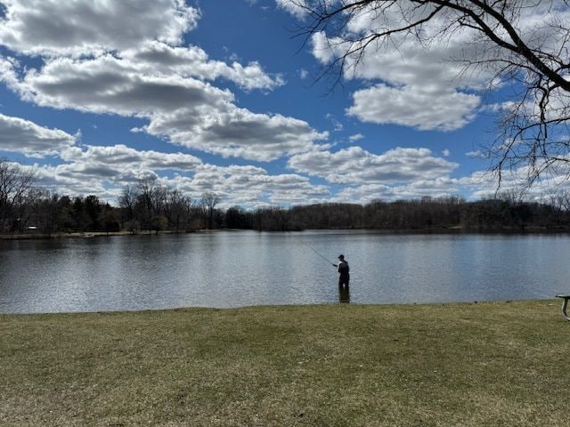 711 Sylvanwood Dr, Troy, MI 48085 - view of water feature