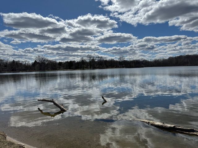 711 Sylvanwood Dr, Troy, MI 48085 - property view of water