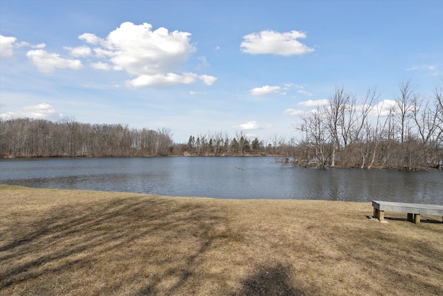 711 Sylvanwood Dr, Troy, MI 48085 - view of water feature