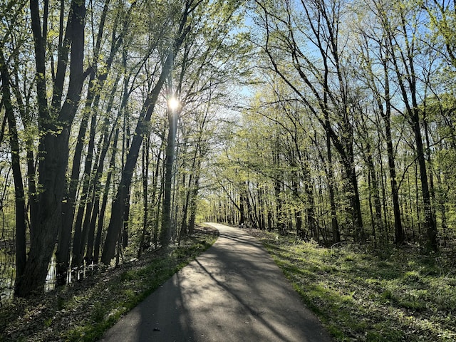 711 Sylvanwood Dr, Troy, MI 48085 - view of street with a wooded view