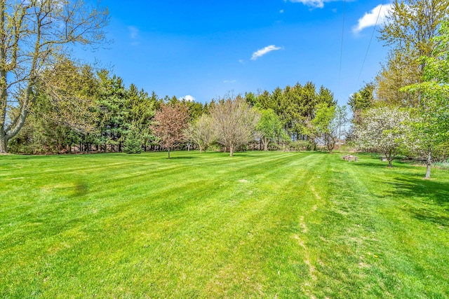 8531 S Waldron Rd, Pittsford, MI 49271 - view of yard