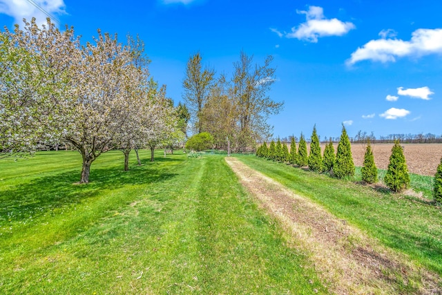 8531 S Waldron Rd, Pittsford, MI 49271 - view of yard with a rural view