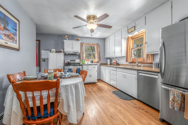 8531 S Waldron Rd, Pittsford, MI 49271 - kitchen featuring a sink, light wood-style floors, stainless steel appliances, a ceiling fan, and under cabinet range hood