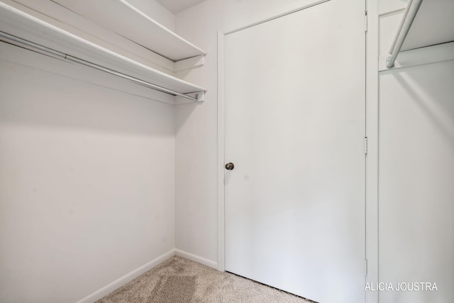 walk in closet with light carpet