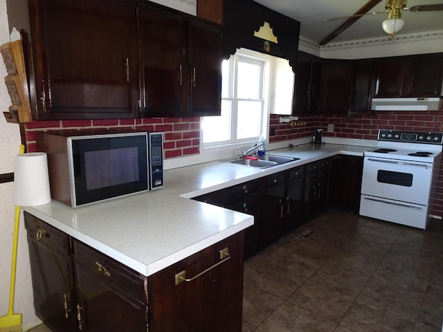 kitchen featuring black microwave, light countertops, under cabinet range hood, a sink, and white electric stove