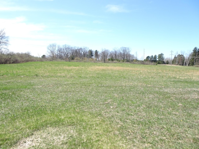 view of yard featuring a rural view