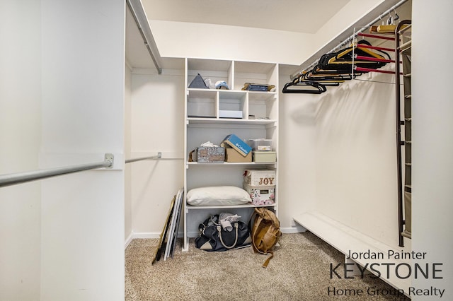 walk in closet featuring carpet floors