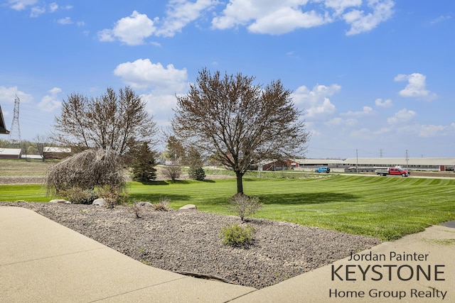 view of yard