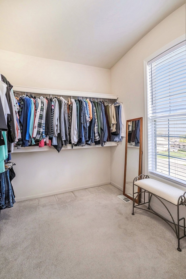 spacious closet featuring carpet